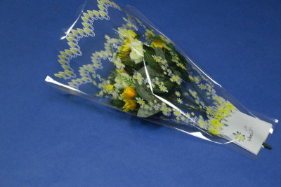 00006264-2_2f35e30adaa1c74ea79cef9322251425