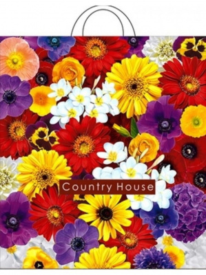 УТ-00006096_ca882b6f515da84e727e217e5670636e УТ-00006096_ca882b6f515da84e727e217e5670636e