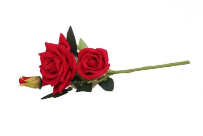 УТ-00004175-1_c9a2c5005ece094d27ac2c15c9b8a848