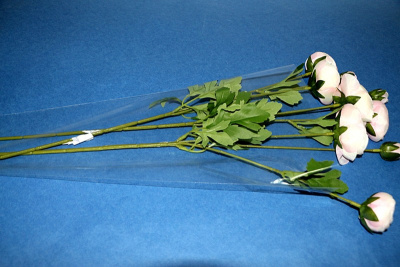 УТ-00002350-2_a787cad2930e047e7af32ffd0dbeb2b7