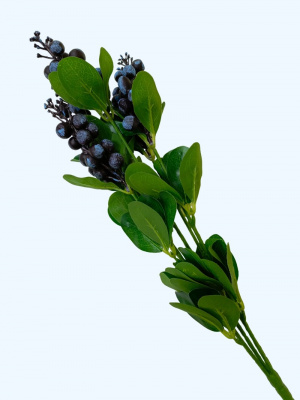 УТ-00007312-1_1bcd0cce25ebdf54006291b870ca22e3